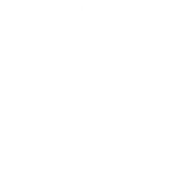 arrow icon